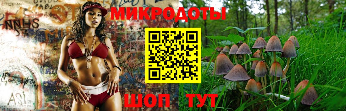 Галлюциногенные грибы Psilocybe  Вход с VPN  Галлюциногенные грибы MAGIC MUSHROOMS  наркошоп  Протвино 